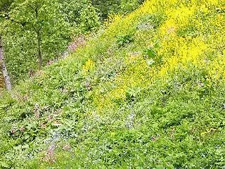 Johanneshof Bayerisch Gmain